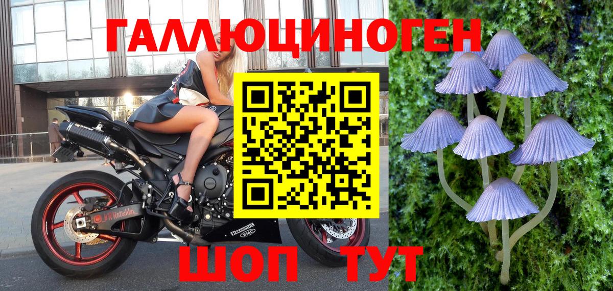 Псилоцибиновые грибы ЛСД  Вход с VPN  где можно купить   Тамбов  Псилоцибиновые грибы мицелий 